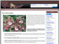 eoc2006.org