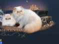 whisperoceancat.com