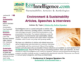 ecointelligence.com