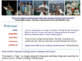 fishingcharterforsale.com