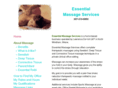 essentialmassageservices.com