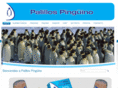 palillospinguino.com