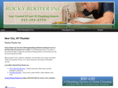 rockyrooter-ny.com