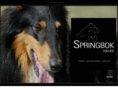 springbokcollies.com