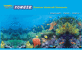 yongzeco.com