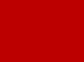 forumbakliyat.com