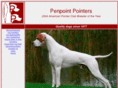 penpointpointers.com