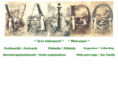 vaido.net
