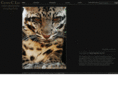 wildborneo.com.my