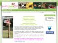 dolphin-mailbox.com