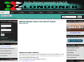 dzlondoner.com