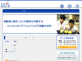ecs-rika.net