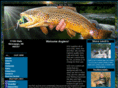 streamsideguideservices.com
