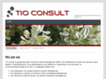 tioconsult.com