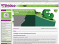 vebridge.com