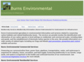 burnsenvironmental.com