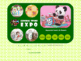 generalstore-expo.com