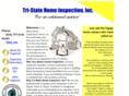 inspectionguru.com
