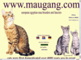 maugang.com