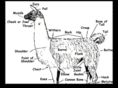 sixfootllama.com
