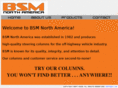 bsmna.com