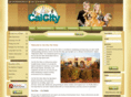 calcitypetclinic.com