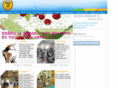didisport.com