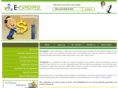 efundingindia.com