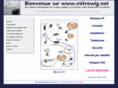 mitrowig.net