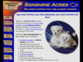 themaltesepuppy.com