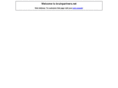bruinpartners.net
