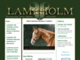 lambholmsouth.com