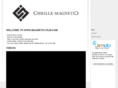 magnetic-film.com