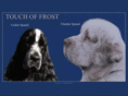 touchoffrost.com