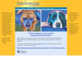 rainbowdog.net