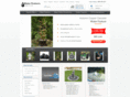 waterfeature2go.com