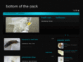 bottomofthepack.com