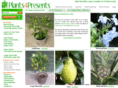 forpresents.co.uk