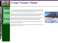 groupeforestiermaland.com