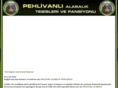 pehlivanlialabalik.com