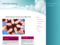 teamwildblue.com