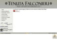 tenutafalconieri.com