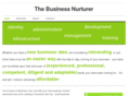 thebusinessnurturer.co.uk