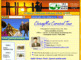 chiangmai-carnival.com