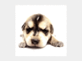 frankiemartins.com