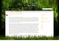 fresnoseo.net