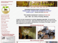 joelovelamps.com