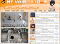 ntvoid.com