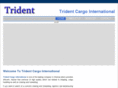 tridentcargo.com