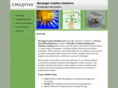 berningercreativesolutions.com
